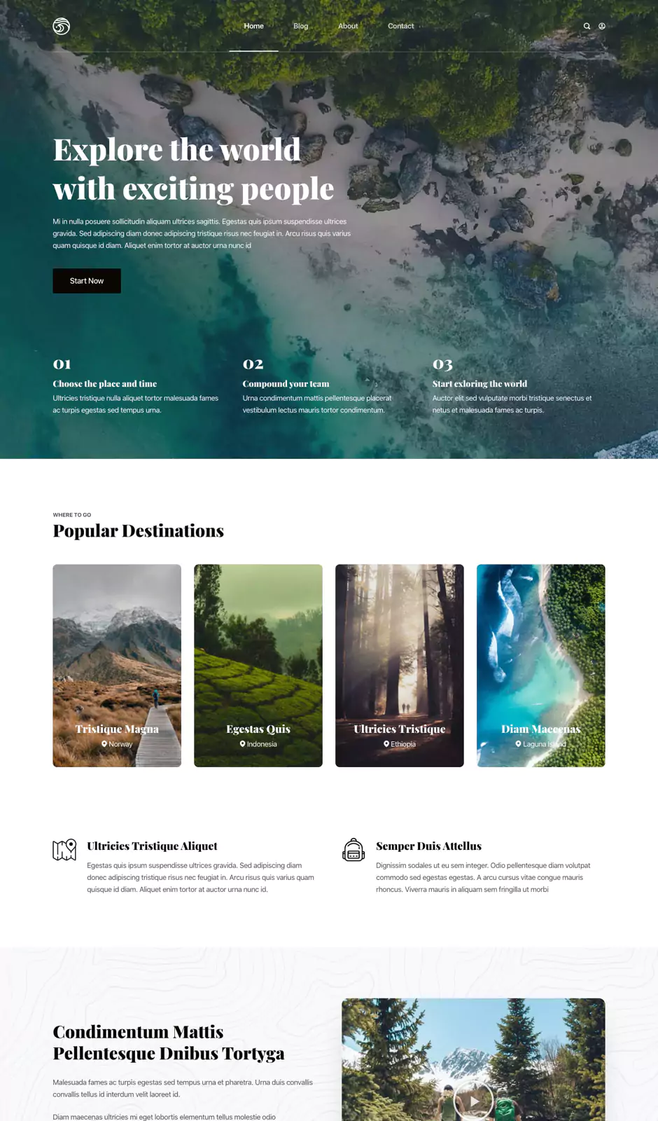 Blocksy Website Template: